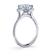 Diana Diamond Halo Ring Wit...
