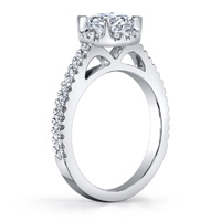 Virginia Diamond Halo Ring ...