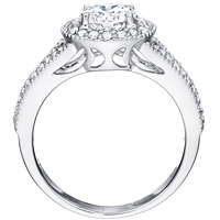 Tamar diamond ring with diamond studded band by Eternity (.35 ctw.)