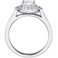 Bianca Milgrain Cathedral Halo Engagement Ring and Matching Band  (.67 ctw.)