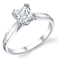 Hollie Double Prong Princess Solitaire Ring