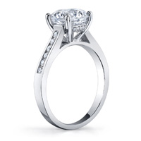 Viola Channel Set Cathedral Diamond Ring (.24 ctw.)