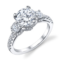 Daria Three Stone Halo Engagement Ring (.48 ctw.)